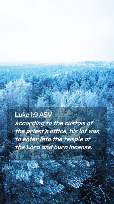 Picture 02 - Luke 1:9 ASV Mobile Phone Wallpaper - according to the custom of the priest's office, - Mobile Bible Verse Wallpaper