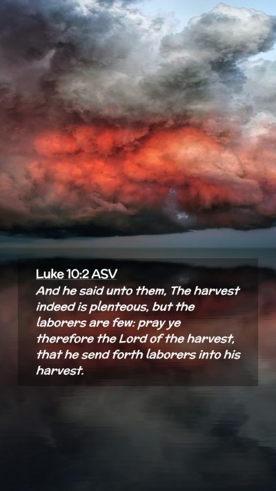 Picture 02 - Luke 10:2 ASV Mobile Phone Wallpaper - And he said unto them, The harvest indeed is - Mobile Bible Verse Wallpaper