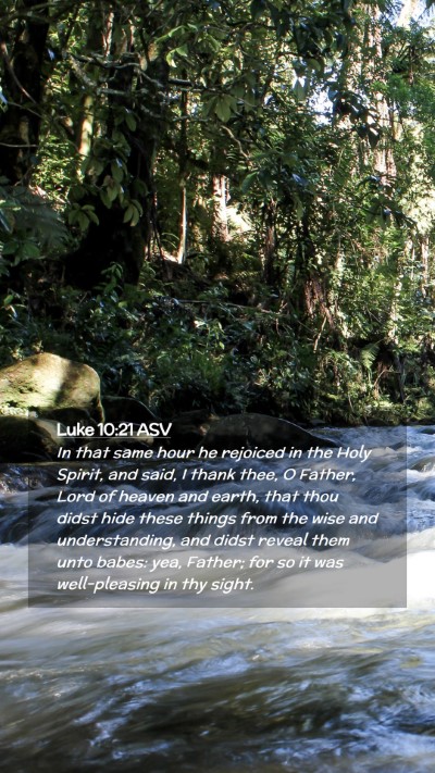 Picture 02 - Luke 10:21 ASV Mobile Phone Wallpaper - In that same hour he rejoiced in the Holy Spirit, - Mobile Bible Verse Wallpaper