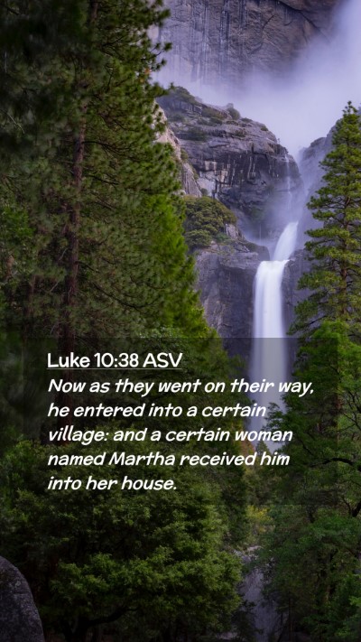 Picture 02 - Luke 10:38 ASV Mobile Phone Wallpaper - Now as they went on their way, he entered into a - Mobile Bible Verse Wallpaper