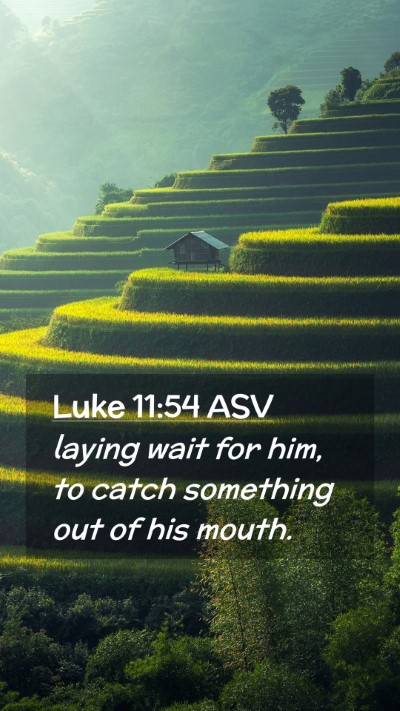 Picture 02 - Luke 11:54 ASV Mobile Phone Wallpaper - laying wait for him, to catch something out of - Mobile Bible Verse Wallpaper