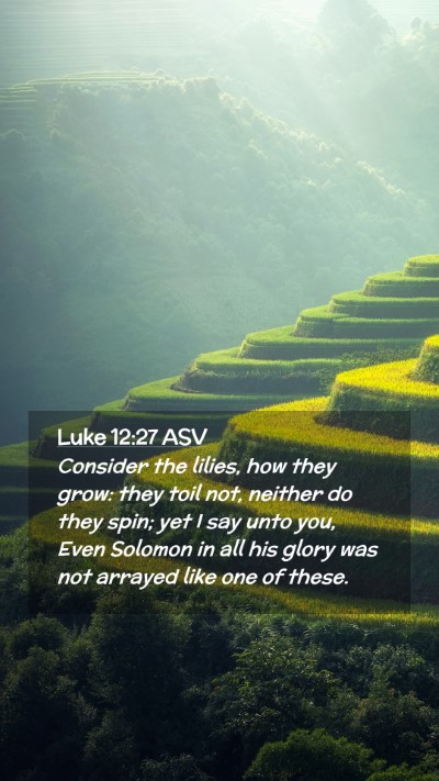 Picture 02 - Luke 12:27 ASV Mobile Phone Wallpaper - Consider the lilies, how they grow: they toil - Mobile Bible Verse Wallpaper
