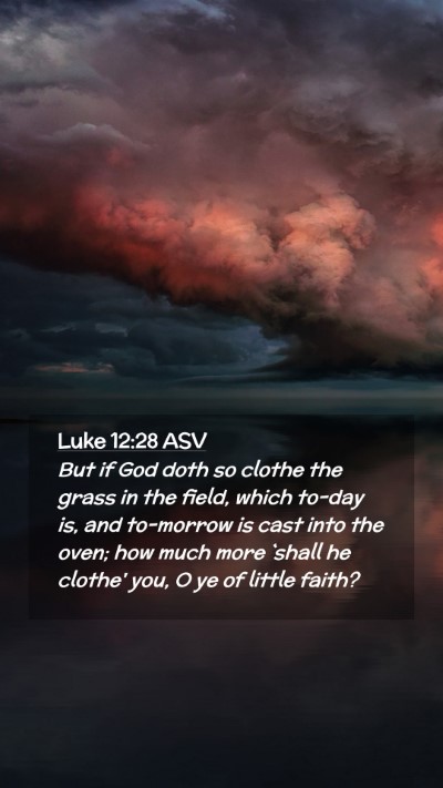 Picture 02 - Luke 12:28 ASV Mobile Phone Wallpaper - But if God doth so clothe the grass in the field, - Mobile Bible Verse Wallpaper