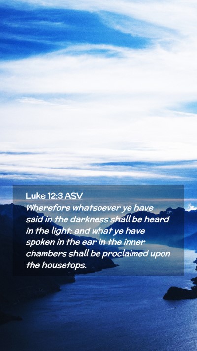 Picture 02 - Luke 12:3 ASV Mobile Phone Wallpaper - Wherefore whatsoever ye have said in the darkness - Mobile Bible Verse Wallpaper
