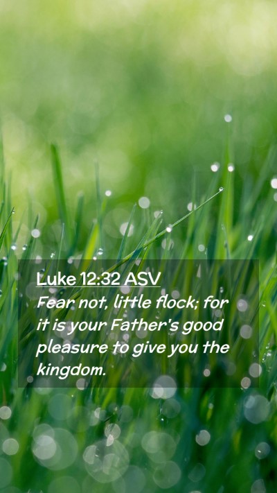 Picture 02 - Luke 12:32 ASV Mobile Phone Wallpaper - Fear not, little flock; for it is your Father's - Mobile Bible Verse Wallpaper