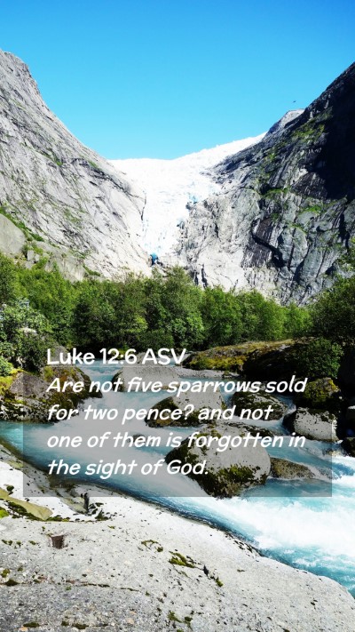 Picture 02 - Luke 12:6 ASV Mobile Phone Wallpaper - Are not five sparrows sold for two pence? and not - Mobile Bible Verse Wallpaper