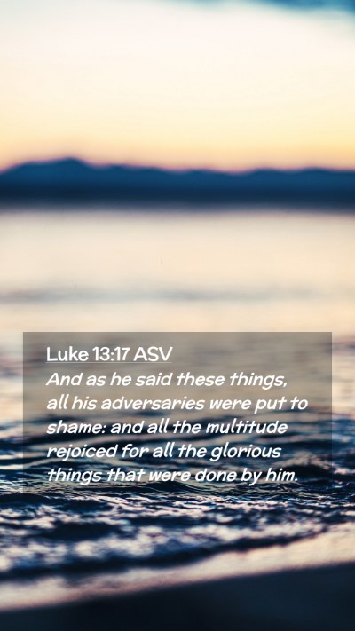 Picture 02 - Luke 13:17 ASV Mobile Phone Wallpaper - And as he said these things, all his adversaries - Mobile Bible Verse Wallpaper