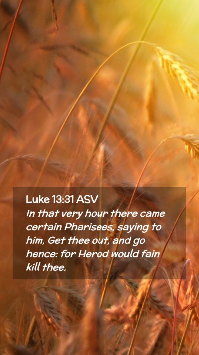 Picture 02 - Luke 13:31 ASV Mobile Phone Wallpaper - In that very hour there came certain Pharisees, - Mobile Bible Verse Wallpaper