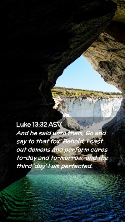 Picture 02 - Luke 13:32 ASV Mobile Phone Wallpaper - And he said unto them, Go and say to that fox, - Mobile Bible Verse Wallpaper