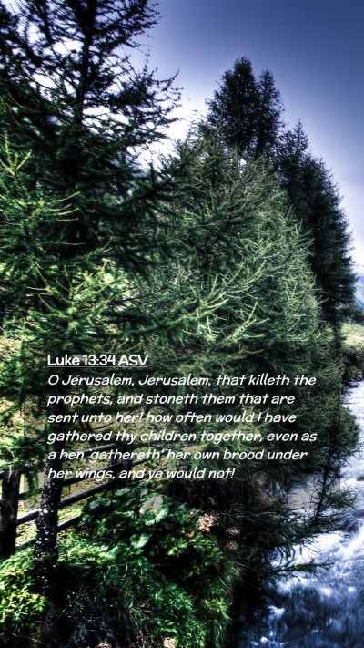 Picture 02 - Luke 13:34 ASV Mobile Phone Wallpaper - O Jerusalem, Jerusalem, that killeth the - Mobile Bible Verse Wallpaper