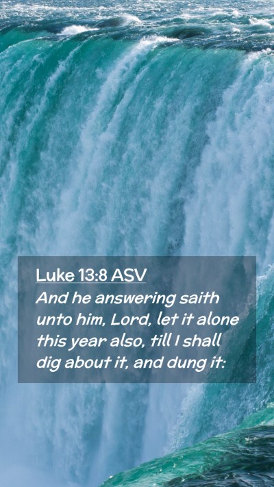 Picture 02 - Luke 13:8 ASV Mobile Phone Wallpaper - And he answering saith unto him, Lord, let it - Mobile Bible Verse Wallpaper