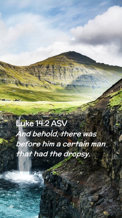 Picture 02 - Luke 14:2 ASV Mobile Phone Wallpaper - And behold, there was before him a certain man - Mobile Bible Verse Wallpaper