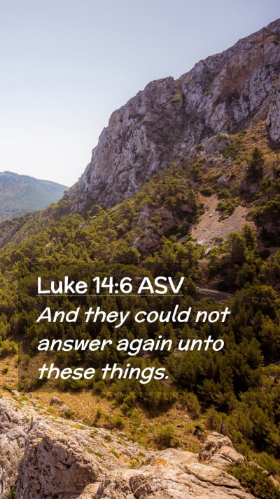 Picture 02 - Luke 14:6 ASV Mobile Phone Wallpaper - And they could not answer again unto these - Mobile Bible Verse Wallpaper