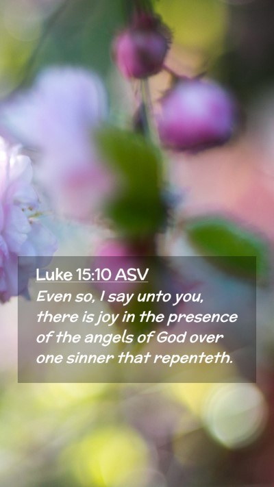 Picture 02 - Luke 15:10 ASV Mobile Phone Wallpaper - Even so, I say unto you, there is joy in the - Mobile Bible Verse Wallpaper