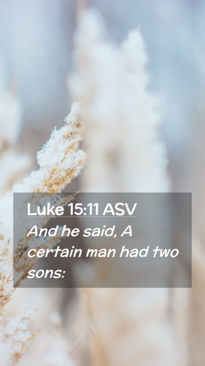 Picture 02 - Luke 15:11 ASV Mobile Phone Wallpaper - And he said, A certain man had two - Mobile Bible Verse Wallpaper