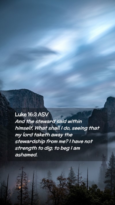 Picture 02 - Luke 16:3 ASV Mobile Phone Wallpaper - And the steward said within himself, What shall I - Mobile Bible Verse Wallpaper