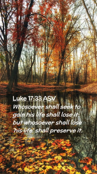 Picture 02 - Luke 17:33 ASV Mobile Phone Wallpaper - Whosoever shall seek to gain his life shall lose - Mobile Bible Verse Wallpaper