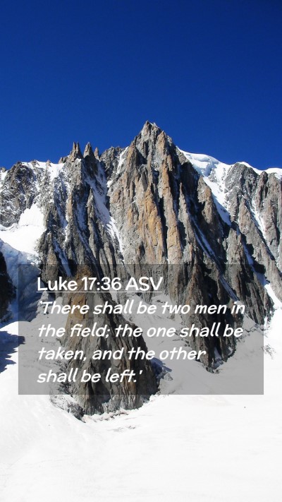 Picture 02 - Luke 17:36 ASV Mobile Phone Wallpaper - `There shall be two men in the field; the one - Mobile Bible Verse Wallpaper