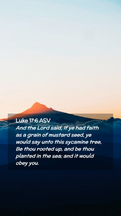 Picture 02 - Luke 17:6 ASV Mobile Phone Wallpaper - And the Lord said, If ye had faith as a grain of - Mobile Bible Verse Wallpaper