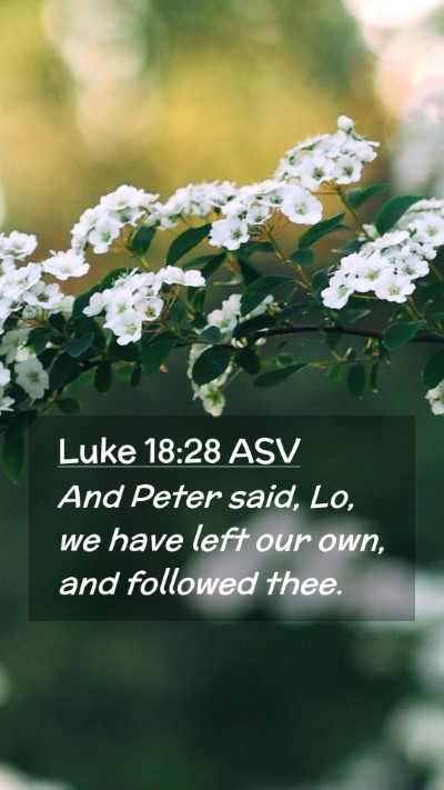 Picture 02 - Luke 18:28 ASV Mobile Phone Wallpaper - And Peter said, Lo, we have left our own, and - Mobile Bible Verse Wallpaper
