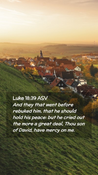 Picture 02 - Luke 18:39 ASV Mobile Phone Wallpaper - And they that went before rebuked him, that he - Mobile Bible Verse Wallpaper