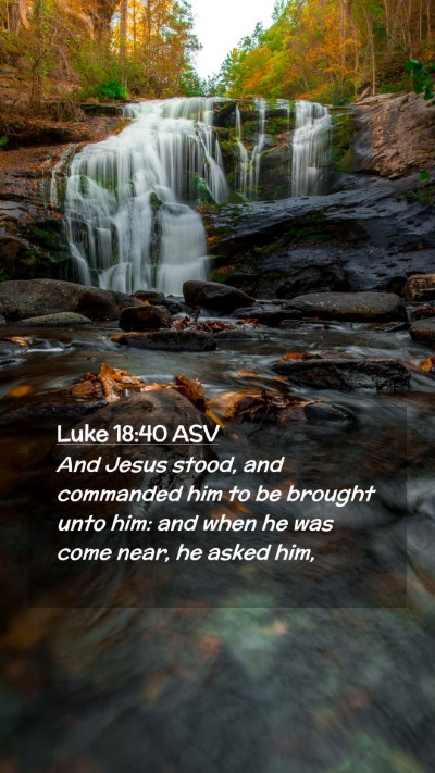 Picture 02 - Luke 18:40 ASV Mobile Phone Wallpaper - And Jesus stood, and commanded him to be brought - Mobile Bible Verse Wallpaper