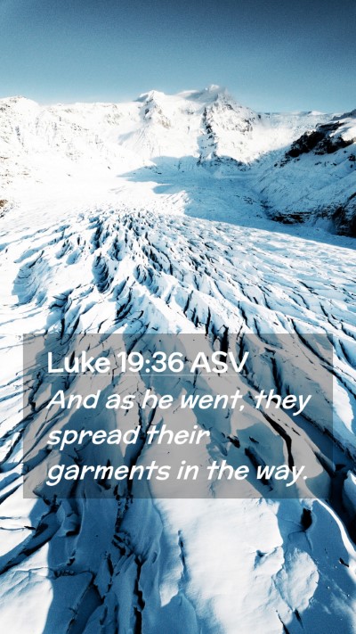 Picture 02 - Luke 19:36 ASV Mobile Phone Wallpaper - And as he went, they spread their garments in the - Mobile Bible Verse Wallpaper