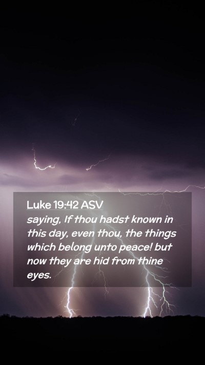 Picture 02 - Luke 19:42 ASV Mobile Phone Wallpaper - saying, If thou hadst known in this day, even - Mobile Bible Verse Wallpaper