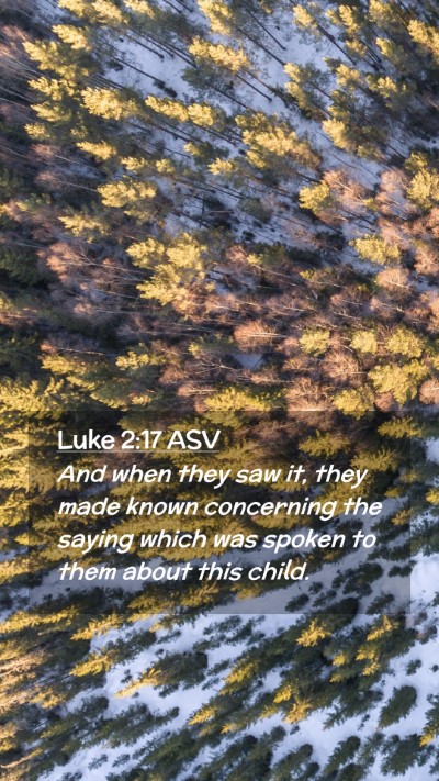 Picture 02 - Luke 2:17 ASV Mobile Phone Wallpaper - And when they saw it, they made known concerning - Mobile Bible Verse Wallpaper