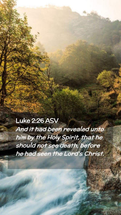 Picture 02 - Luke 2:26 ASV Mobile Phone Wallpaper - And it had been revealed unto him by the Holy - Mobile Bible Verse Wallpaper