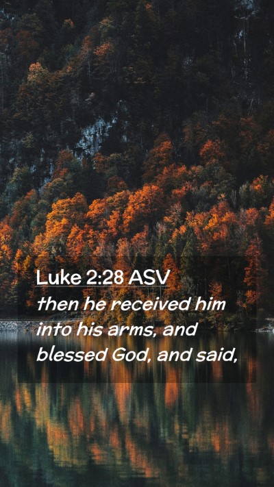 Picture 02 - Luke 2:28 ASV Mobile Phone Wallpaper - then he received him into his arms, and blessed - Mobile Bible Verse Wallpaper