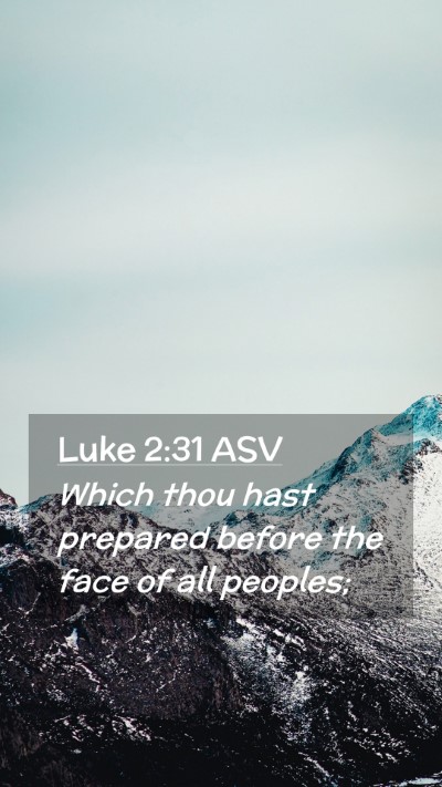 Picture 02 - Luke 2:31 ASV Mobile Phone Wallpaper - Which thou hast prepared before the face of all - Mobile Bible Verse Wallpaper