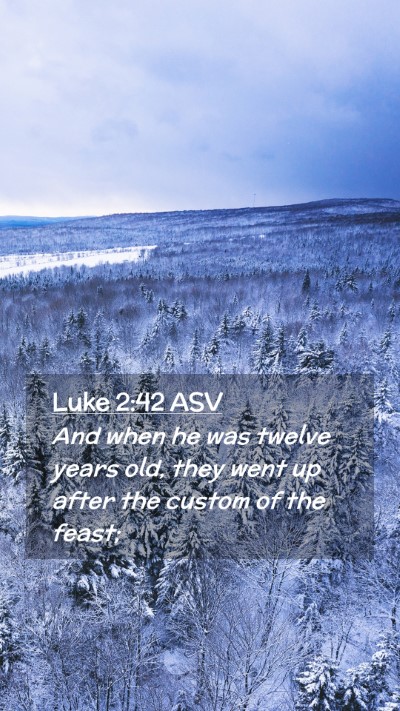 Picture 02 - Luke 2:42 ASV Mobile Phone Wallpaper - And when he was twelve years old, they went up - Mobile Bible Verse Wallpaper