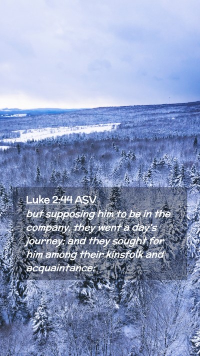 Picture 02 - Luke 2:44 ASV Mobile Phone Wallpaper - but supposing him to be in the company, they went - Mobile Bible Verse Wallpaper