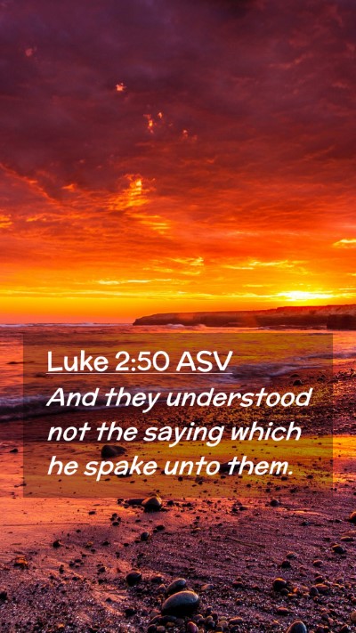 Picture 02 - Luke 2:50 ASV Mobile Phone Wallpaper - And they understood not the saying which he spake - Mobile Bible Verse Wallpaper
