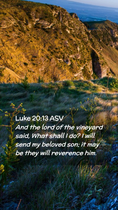 Picture 02 - Luke 20:13 ASV Mobile Phone Wallpaper - And the lord of the vineyard said, What shall I - Mobile Bible Verse Wallpaper