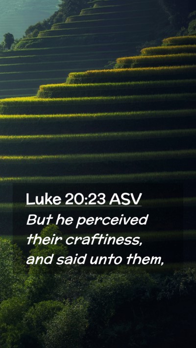 Picture 02 - Luke 20:23 ASV Mobile Phone Wallpaper - But he perceived their craftiness, and said unto - Mobile Bible Verse Wallpaper