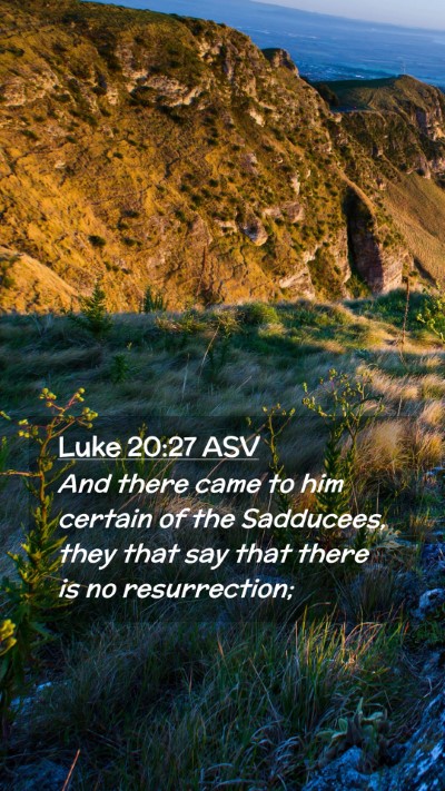 Picture 02 - Luke 20:27 ASV Mobile Phone Wallpaper - And there came to him certain of the Sadducees, - Mobile Bible Verse Wallpaper