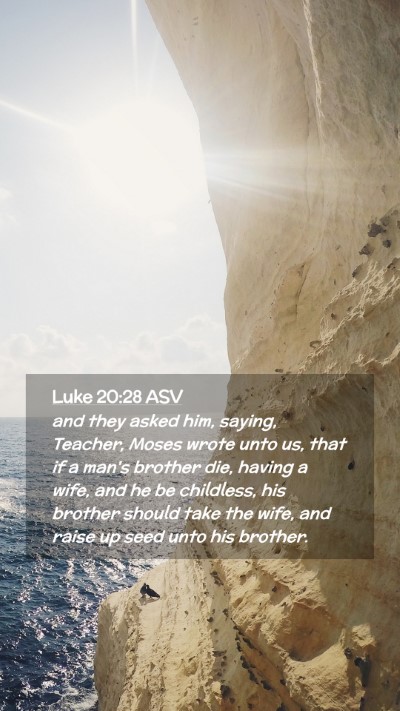 Picture 02 - Luke 20:28 ASV Mobile Phone Wallpaper - and they asked him, saying, Teacher, Moses wrote - Mobile Bible Verse Wallpaper