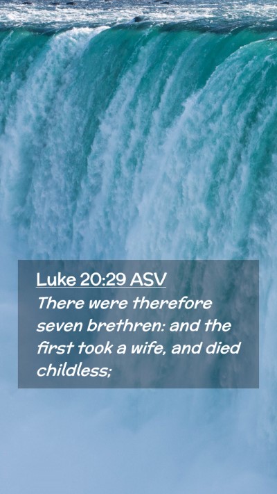 Picture 02 - Luke 20:29 ASV Mobile Phone Wallpaper - There were therefore seven brethren: and the - Mobile Bible Verse Wallpaper