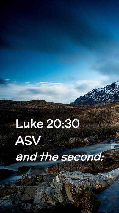 Picture 02 - Luke 20:30 ASV Mobile Phone Wallpaper - and the - Mobile Bible Verse Wallpaper