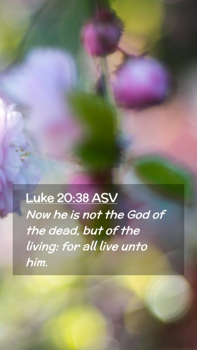 Picture 02 - Luke 20:38 ASV Mobile Phone Wallpaper - Now he is not the God of the dead, but of the - Mobile Bible Verse Wallpaper