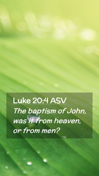 Picture 02 - Luke 20:4 ASV Mobile Phone Wallpaper - The baptism of John, was it from heaven, or from - Mobile Bible Verse Wallpaper