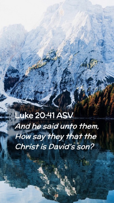 Picture 02 - Luke 20:41 ASV Mobile Phone Wallpaper - And he said unto them, How say they that the - Mobile Bible Verse Wallpaper