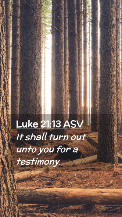 Picture 02 - Luke 21:13 ASV Mobile Phone Wallpaper - It shall turn out unto you for a - Mobile Bible Verse Wallpaper