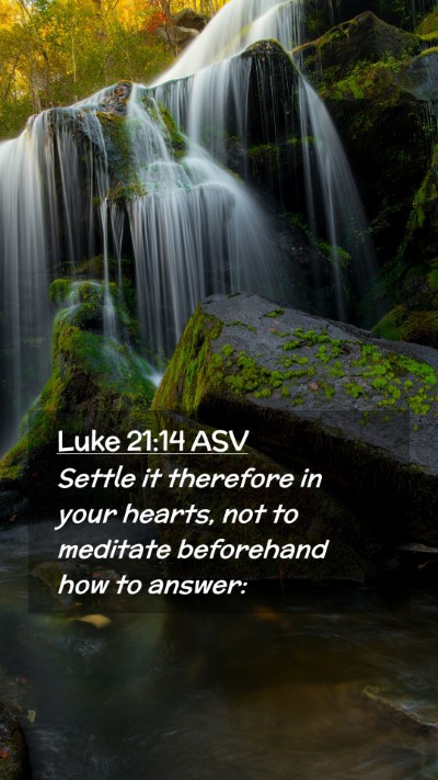 Picture 02 - Luke 21:14 ASV Mobile Phone Wallpaper - Settle it therefore in your hearts, not to - Mobile Bible Verse Wallpaper