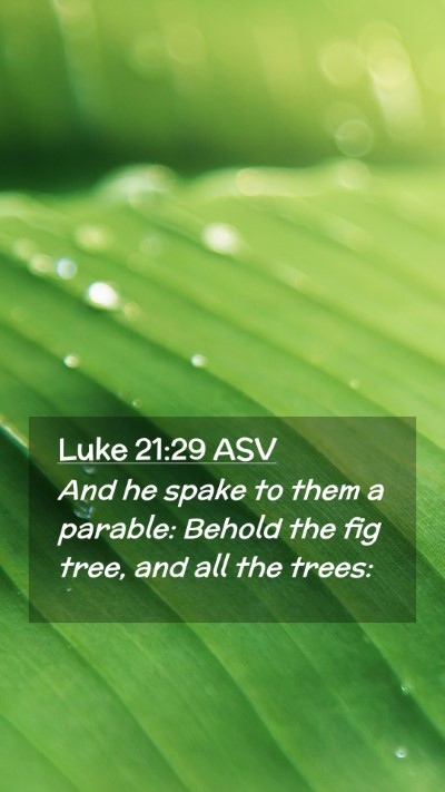 Picture 02 - Luke 21:29 ASV Mobile Phone Wallpaper - And he spake to them a parable: Behold the fig - Mobile Bible Verse Wallpaper