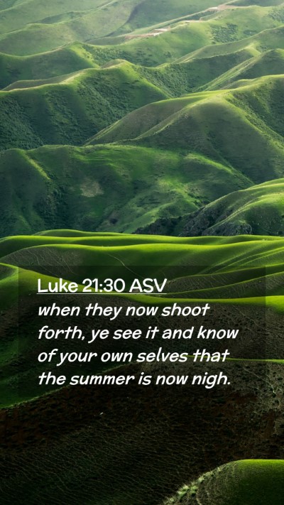 Picture 02 - Luke 21:30 ASV Mobile Phone Wallpaper - when they now shoot forth, ye see it and know of - Mobile Bible Verse Wallpaper