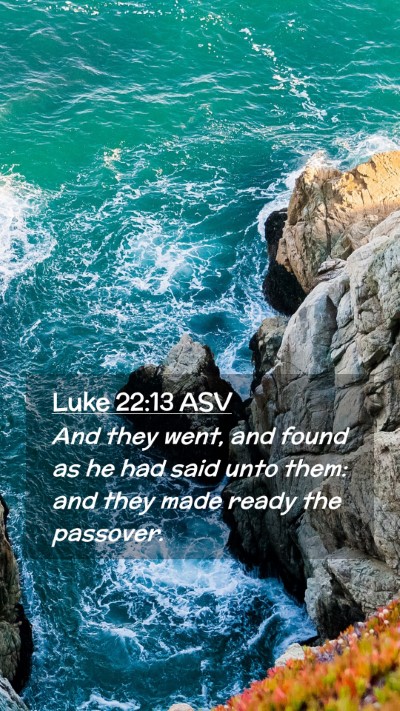 Picture 02 - Luke 22:13 ASV Mobile Phone Wallpaper - And they went, and found as he had said unto - Mobile Bible Verse Wallpaper