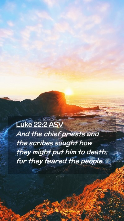 Picture 02 - Luke 22:2 ASV Mobile Phone Wallpaper - And the chief priests and the scribes sought how - Mobile Bible Verse Wallpaper